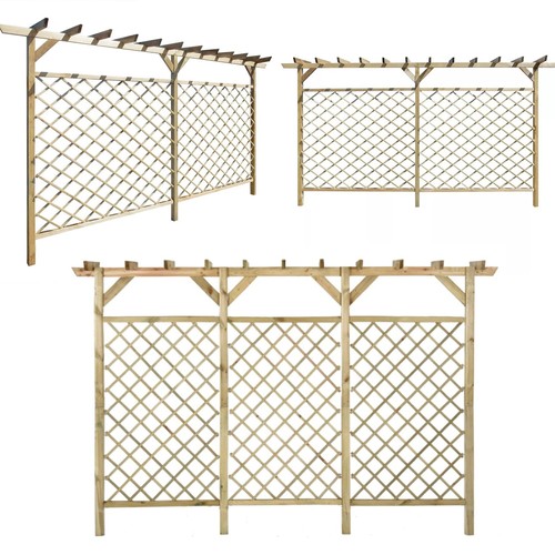Pergola rankgitter kiefernholz - rankgitter,