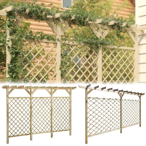 Pergola rankgitter kiefernholz - pergola,