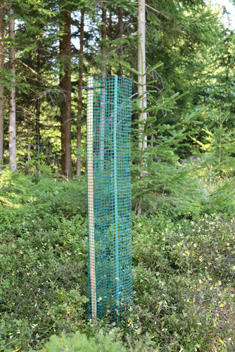 Faie baumschutzgitter 300 - faie,
